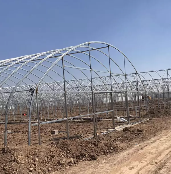 أنابيب الدفيئة